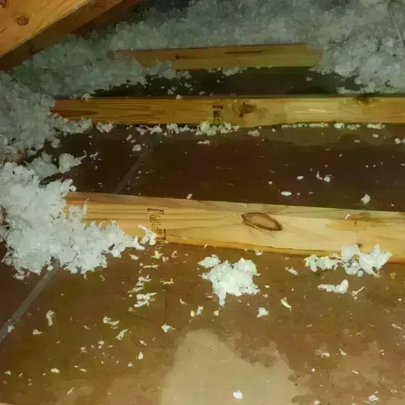 Attic Water Damage in Langley, WA